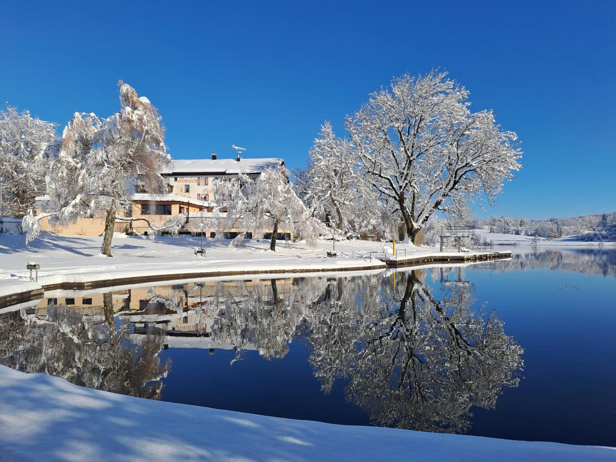 Hotel-Pension Seebad "Seegenuss-Natur-Spa" Sulzberg Extérieur photo